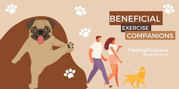 Beneficial Exercise Companions - Reasons Why Dogs Are Better Than Cats