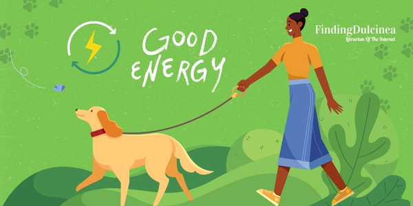 Excitable Energy - Reasons Why Dogs Are Better Than Cats