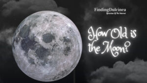 How Old is the Moon? From Scientific Theories to Lunar Rocks