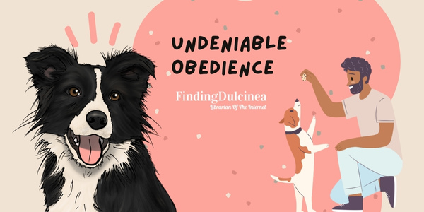 Undeniable Obedience - Reasons Why Dogs Are Better Than Cats