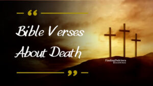 Bible Verses About Death: God's Word on Life's End!