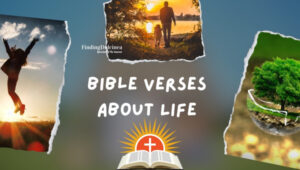 Bible Verses About Life to Inspire and Motivate You!