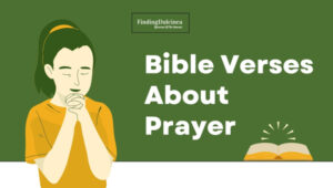 Bible Verses About Prayer: Meet God in Silence