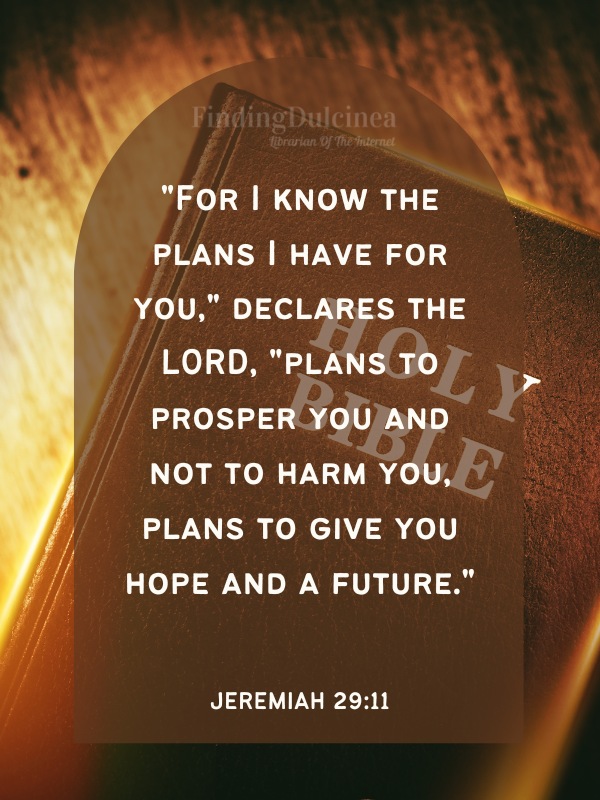 Bible Verses About Hope - "For I know the plans I have for you," declares the LORD, "plans to prosper you and not to harm you, plans to give you hope and a future."