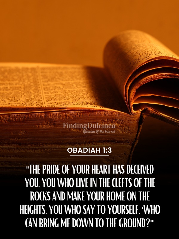 Obadiah 1:3 - 120+ Bible Verses About Pride
