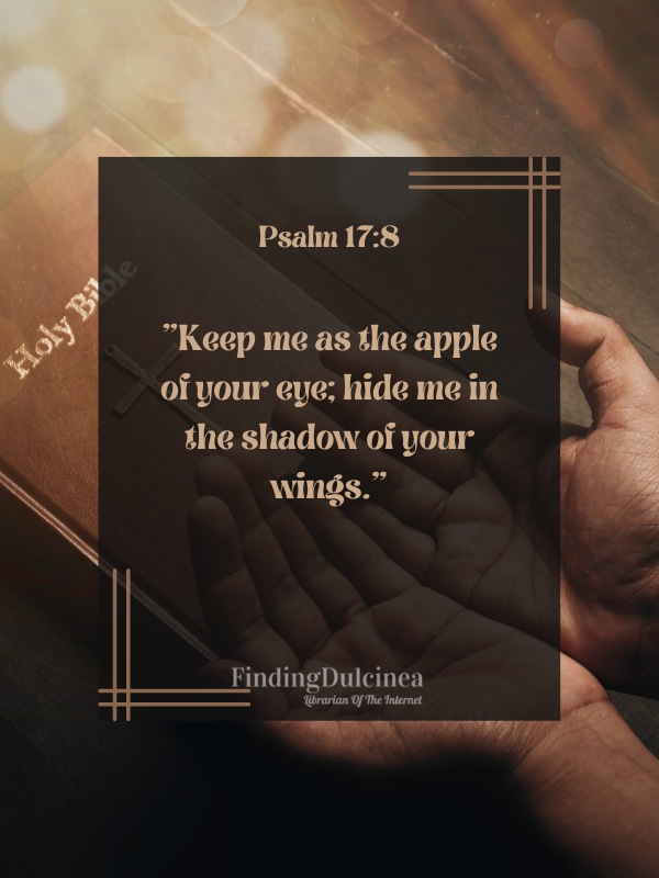 Psalm 17:8 - Bible Verses About Prayer
