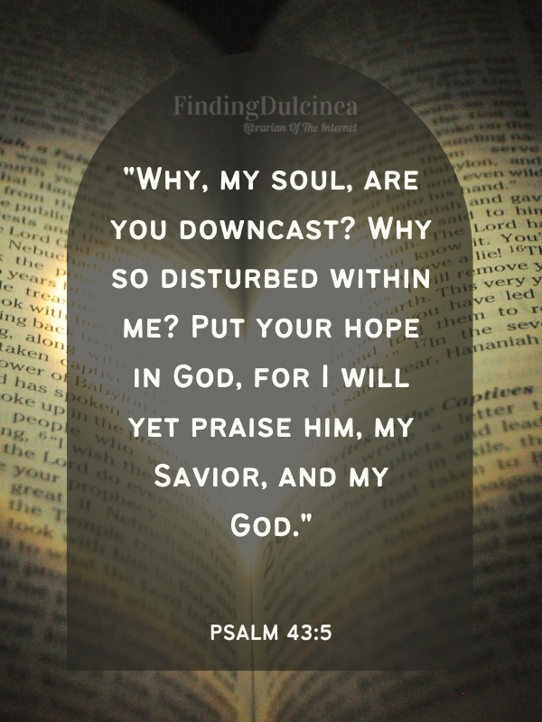 Bible Verses About Hope - "Why, my soul, are you downcast? Why so disturbed within me? Put your hope in God, for I will yet praise him, my Savior, and my God."