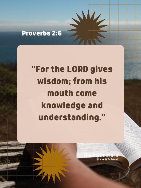 Proverbs 2:6 - Bible Verses About Abortion