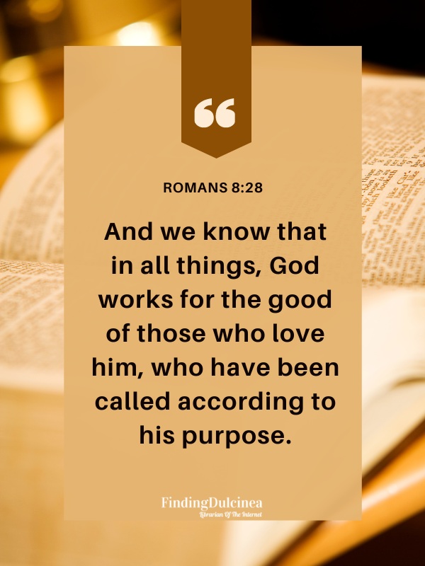 Romans 8:28 - Bible Verses About Confidence 