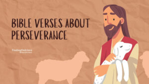 Bible Verses About Perseverance: Navigate Life's Trials