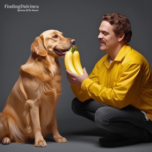 Can Dogs Eat Bananas? [Healthy or Harmful?]