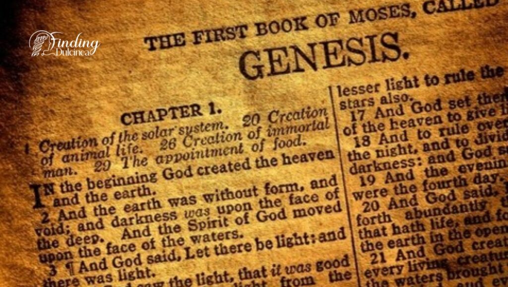 Creation Week: Genesis Chapter 1