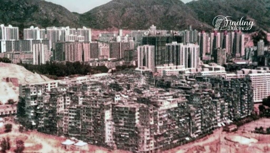 Kowloon Walled City: The Rule of the Triads