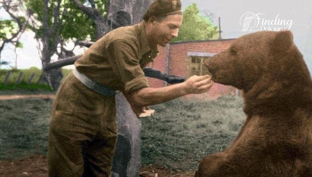 Reflecting on The Legacy of Wojtek The Bear
