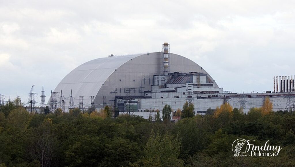 The Environmental Reclamation of Chernobyl