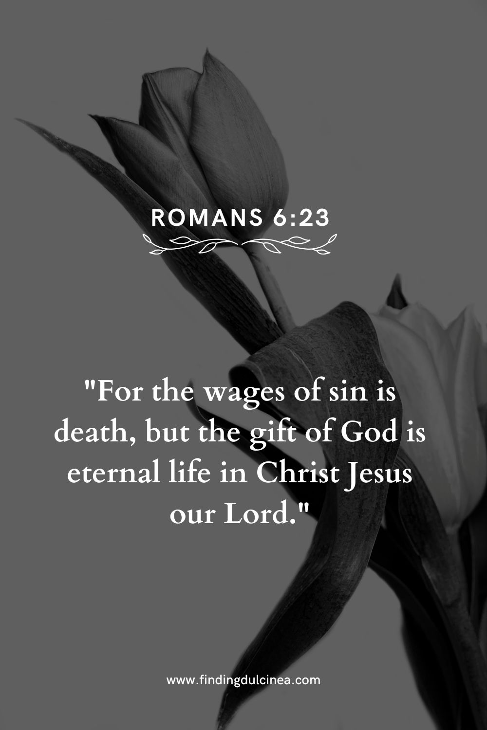 Blanck Scripture 15 Black and White Bible Verses Every Believer Needs