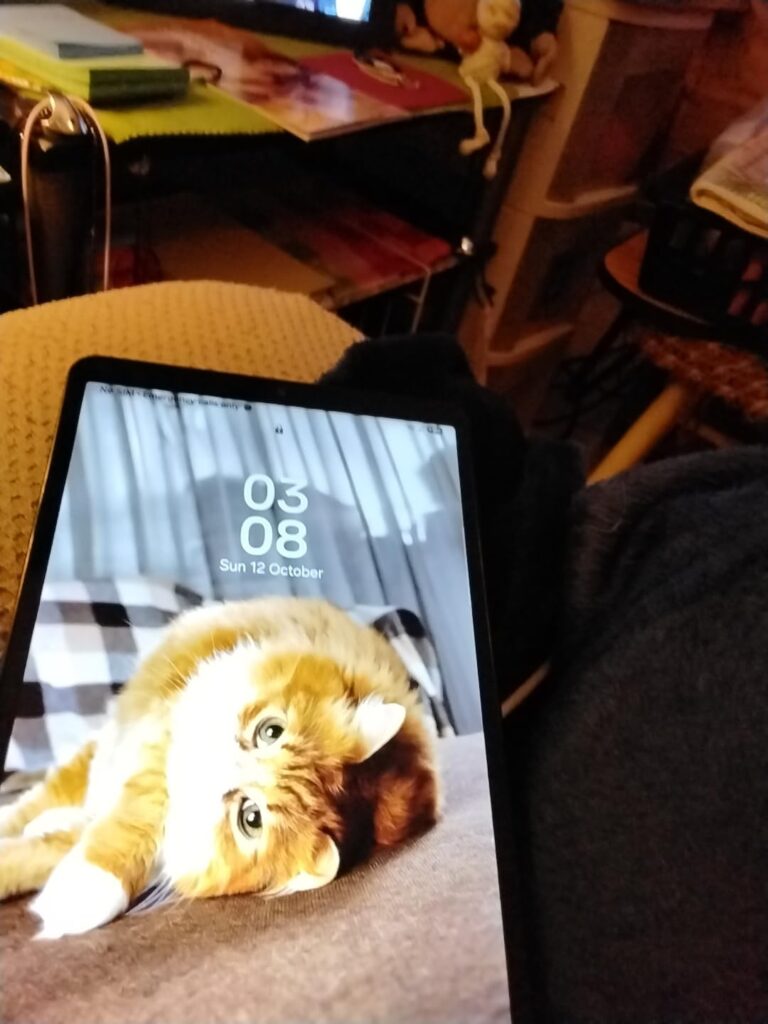 10 Best 8-Inch Tablets (March 2026) Top Compact Tablets Reviewed