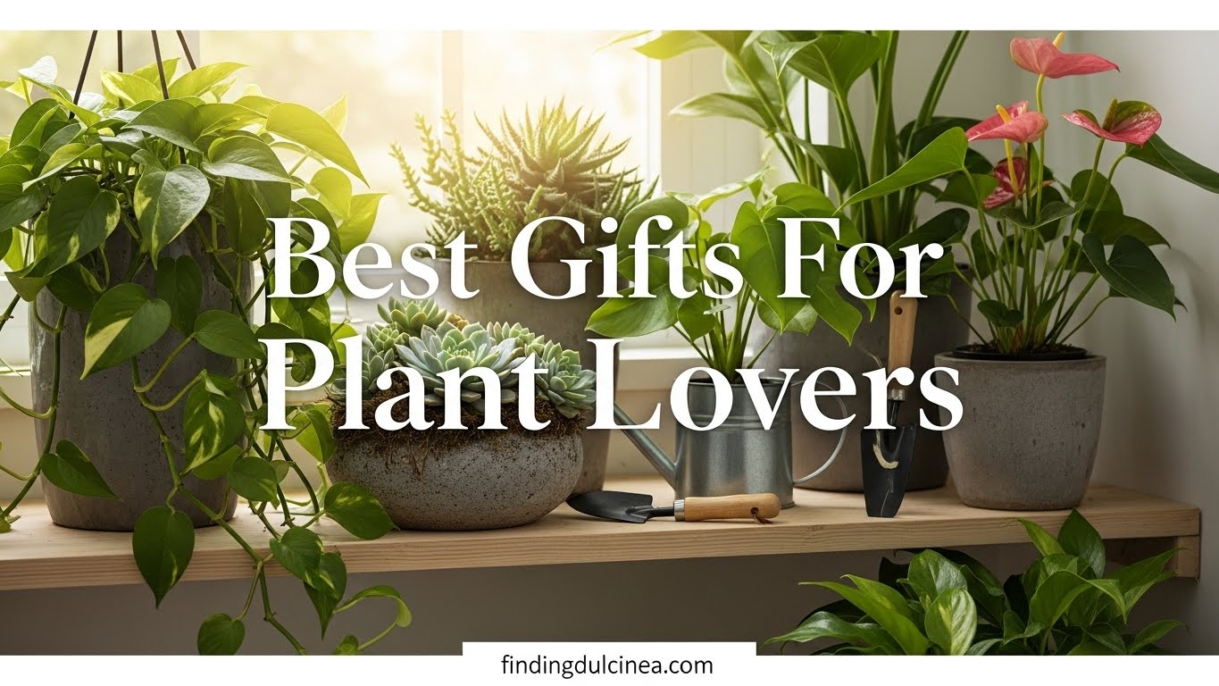 15 Best Gifts For Plant Lovers (June 2026 Guide)